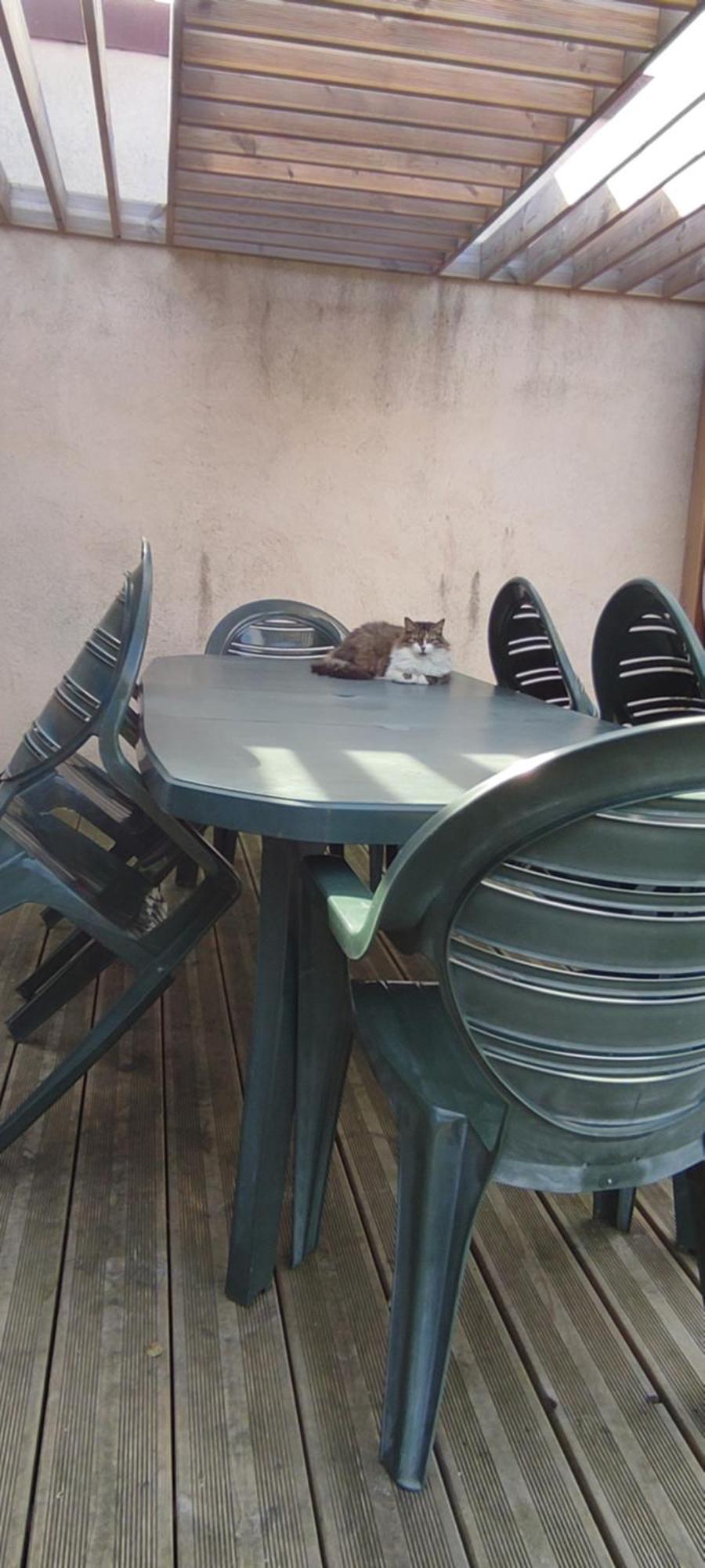 Berck Maison De Vacances Avec Terrasse Et Jardin, Kültér fotó